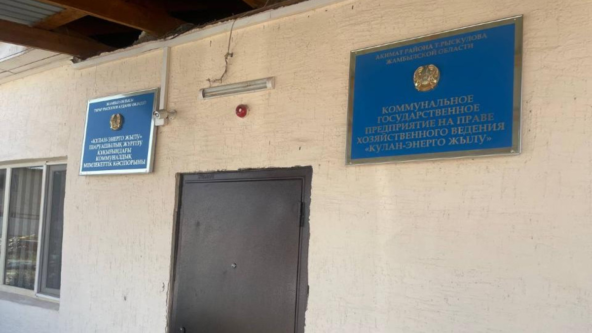 Похитившей 7 млн тенге бухгалтеру госпредприятия в Жамбылской области вынесли приговор