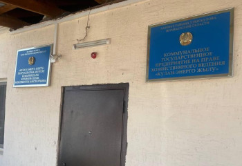 Похитившей 7 млн тенге бухгалтеру госпредприятия в Жамбылской области вынесли приговор