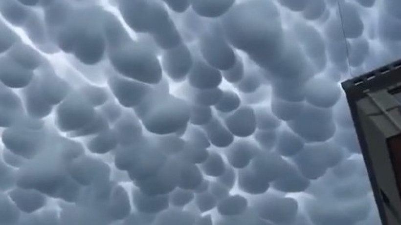  Кадр из видео 