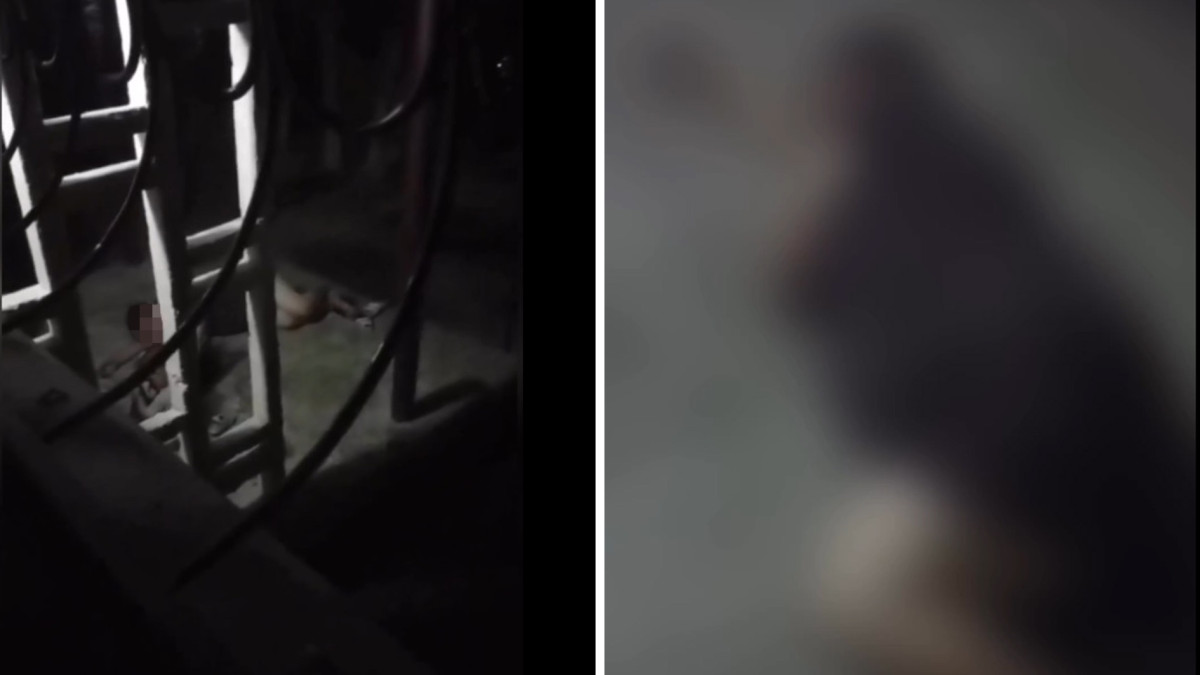  Видеодан кадр 