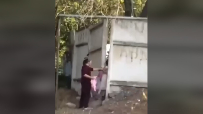  Видеодан кадр 