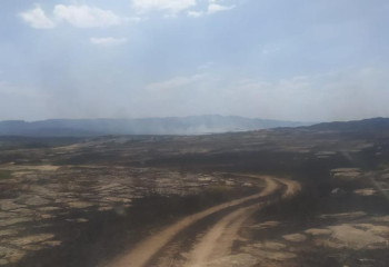 Почти 170 человек тушат пожар в Карагандинской области