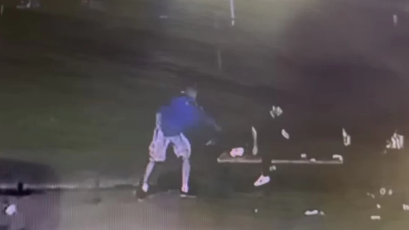  Видеодан кадр 