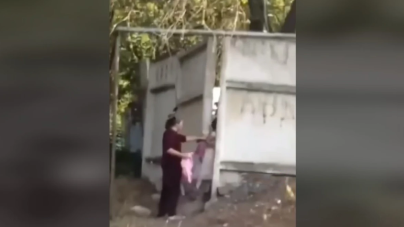  Видеодан кадр 