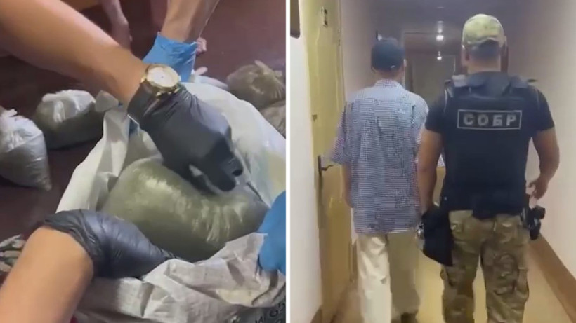  Видеодан кадр 