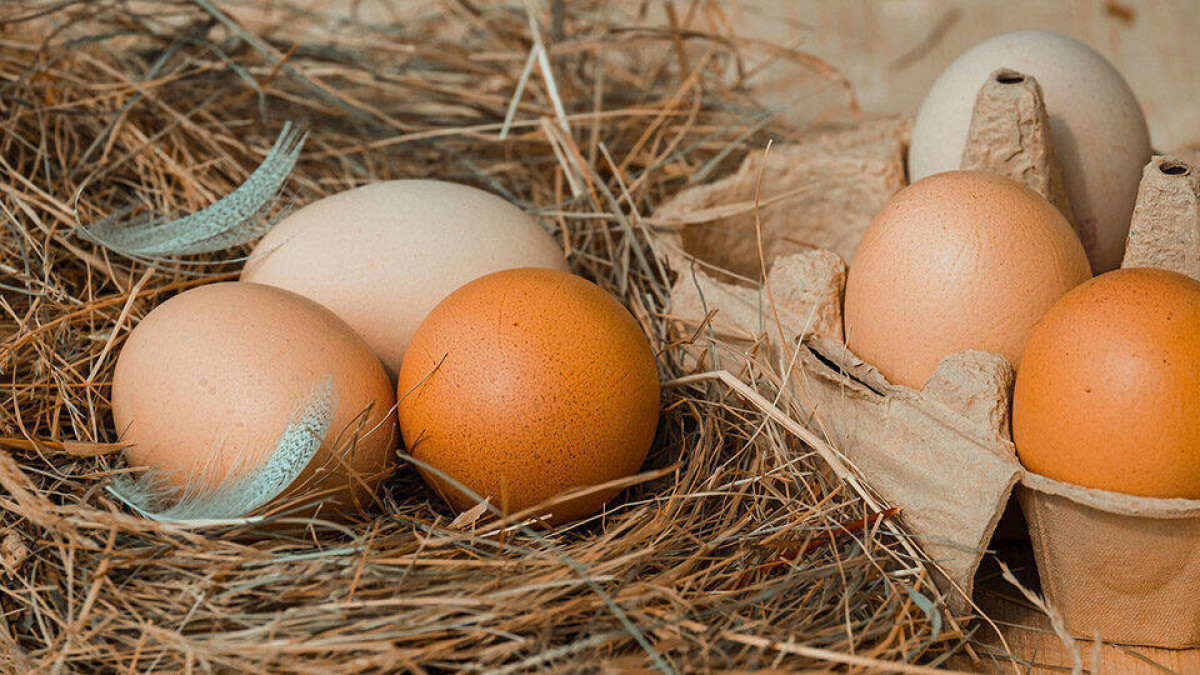 Яйца на 312 тысяч тенге похитили в Карагандинской области