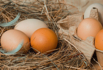 Яйца на 312 тысяч тенге похитили в Карагандинской области