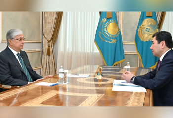 Депутаттар немен айналысып жүр? Мәжіліс төрағасы Президентке есеп берді