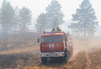 Ормандарды өртеп, ағаштарын Қытайға сатып жатыр. Сарапшының сөзі қаншалықты рас?