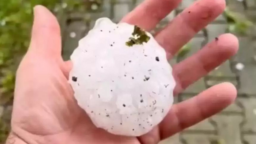  © Luca Zaia/Twitter 