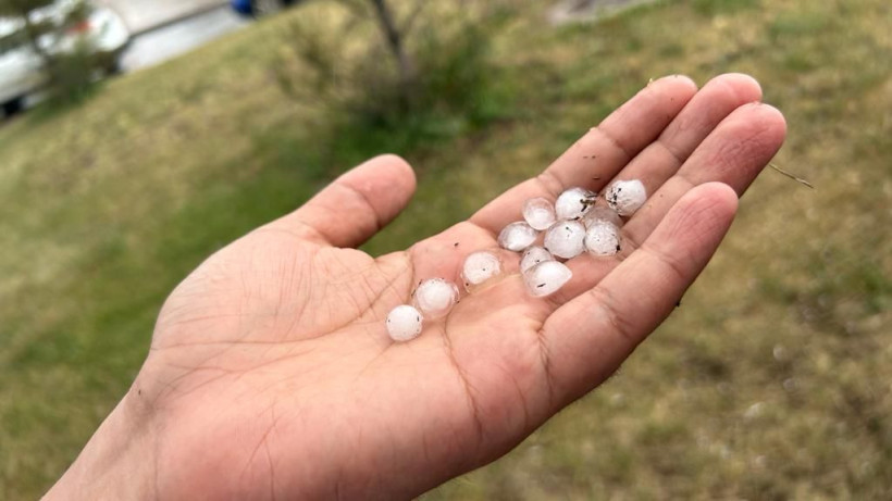  ©El.kz/Нуркен АЛИШЕВ 