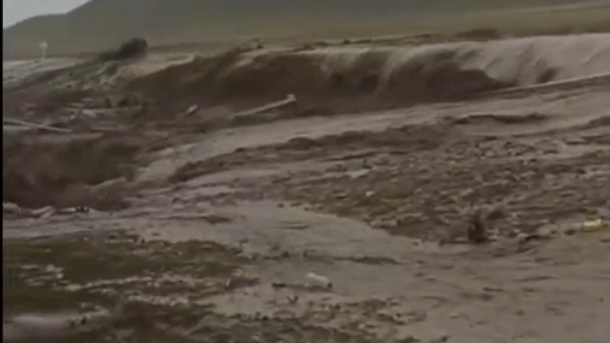  Видеодан кадр 