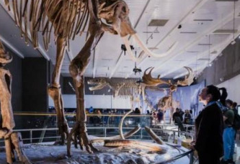 310 тысяч человек посетили Национальный музей РК с начала года