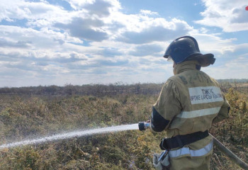 Берел орманындағы таулы алқаптағы өрт толығымен сөндірілді
