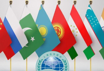 Саясат Нурбек встретился с представителями ШОС