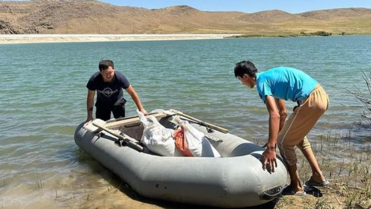 В Туркестанской области произвели 180 тонн рыбной продукции