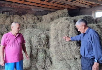 Шөп те, су да аз: Шаруалардың жағдайы биыл да мәз емес