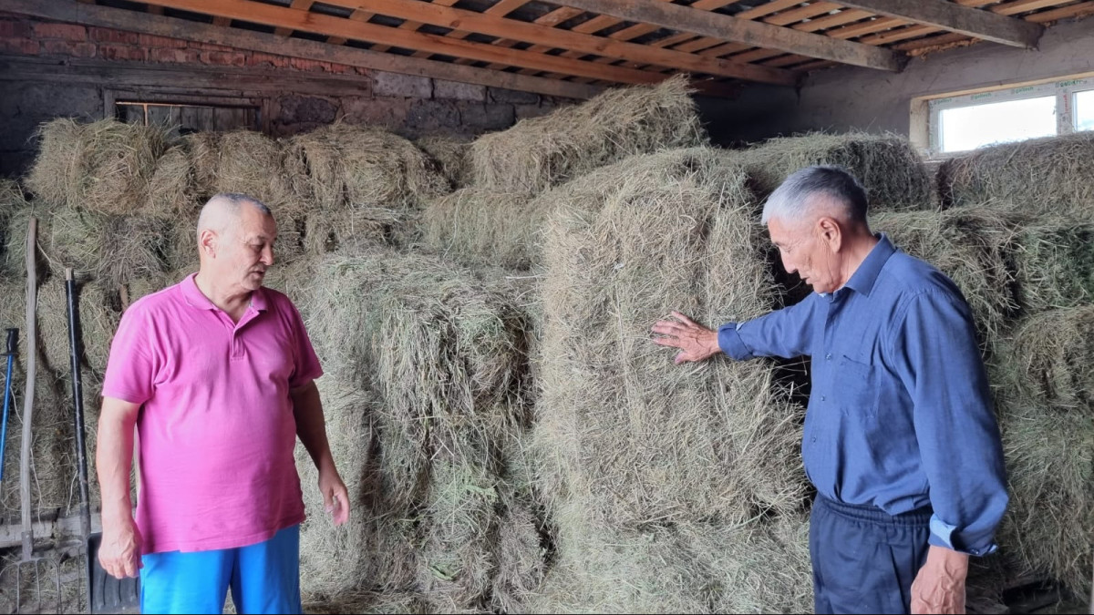  ©El.kz/Ғылымнұр КӘДІРБАЙ 