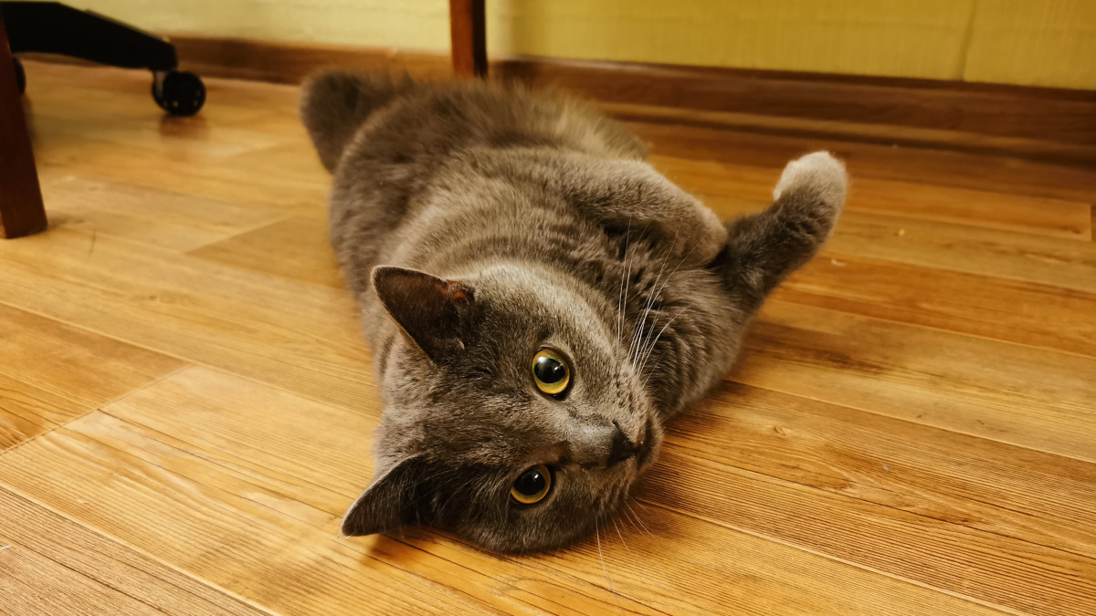  ©El.kz/Марина РУЗМАТОВА 