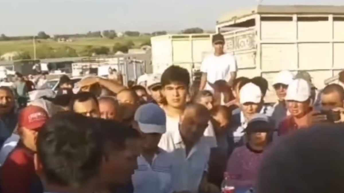  видеодан алынған кадр 