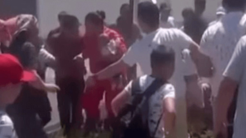  Видеодан кадр 