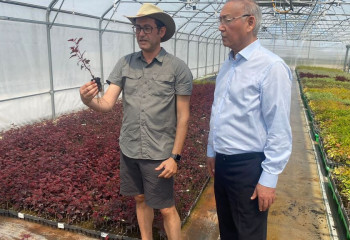 Сенатор Султанбек Макежанов посетил тепличный комплекс в Алматинской области