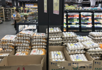 Яйца и мясо птицы могут вновь подорожать в Казахстане