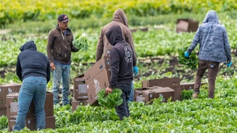  Әлеуметтік желіден 