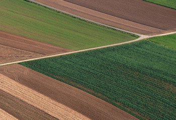 Ғарыш мониторингі 1 млн гектар пайдаланылмайтын егісті анықтады