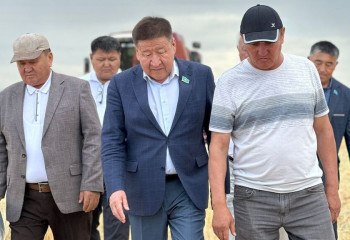 Жамбыл облысында суармалы жер мәселесі өткір тұр - сенатор