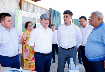 Шымкентте қараусыз қалған жануарларды уақытша ұстауға арналған ғимарат салынып жатыр