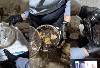 Более 200 кусов мака изъяли у жителя Костанайской области