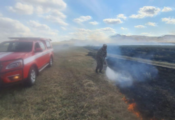 Степной пожар удалось оперативно локализовать в Акмолинской области