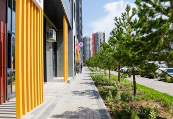 100 тысяч деревьев высадят столичные застройщики в этом году