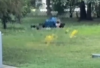 Занимавшуюся сексом на улице парочку оштрафовали в Талдыкоргане