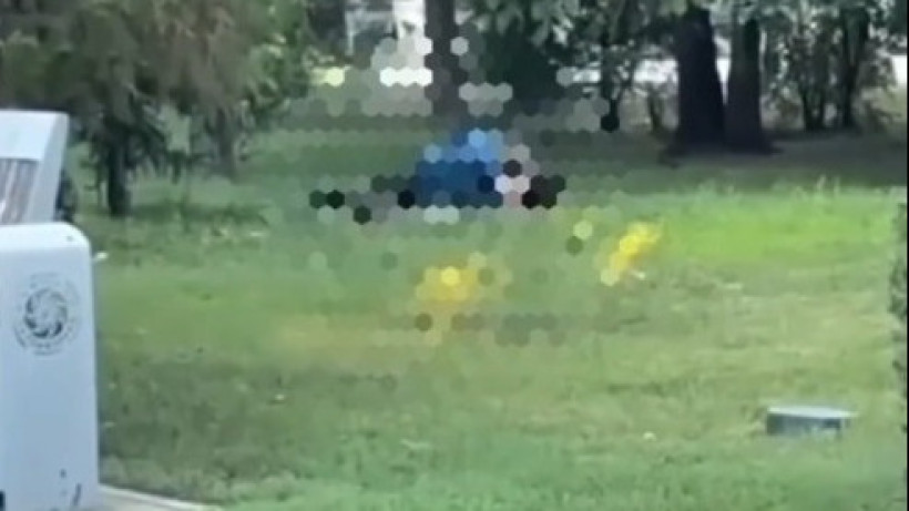  Кадр из видео 