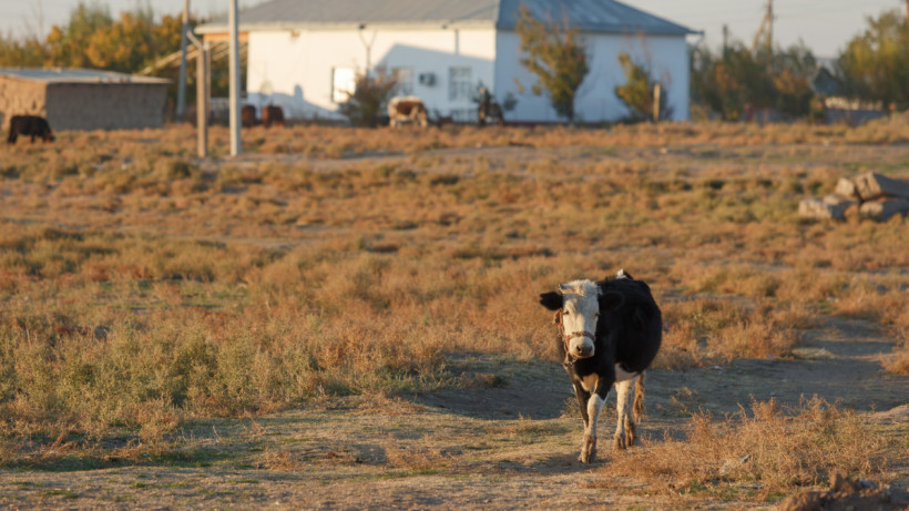  ©El.kz/Артем ЧУРСИНОВ 