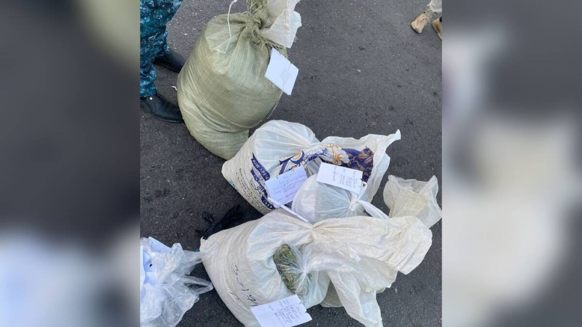 29 кг наркотиков изъяли у четырех жителей Тараза