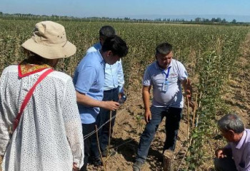 Казахстанские питомники нуждаются в грамотных агрономах - мнение экспертов