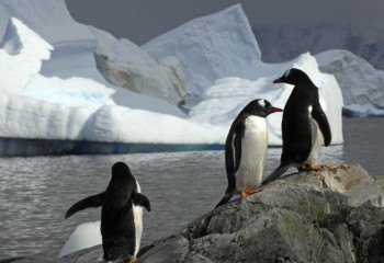 Ученые встревожены резким нагреванием мирового океана