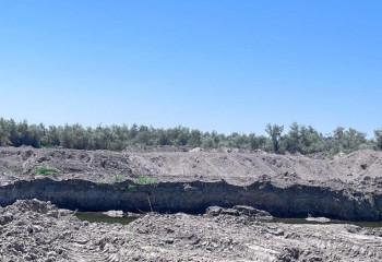 Работу незаконных песчаных карьеров приостановили в Туркестанской области