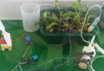 «Умную» теплицу изобрели в Казахстане