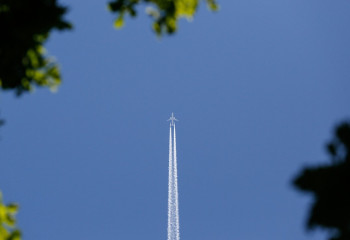 Аланияда жол апатына ұшыраған 6 отандасымыз елге қайтады