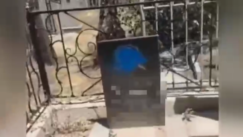  Видеодан алынған кадр 