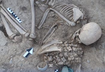 Ценные артефакты нашли во время раскопок археологи КазНУ и Кембриджа