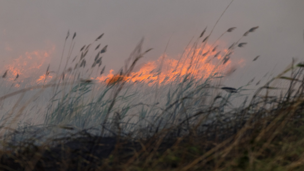  ©El.kz/Артем ЧУРСИНОВ 