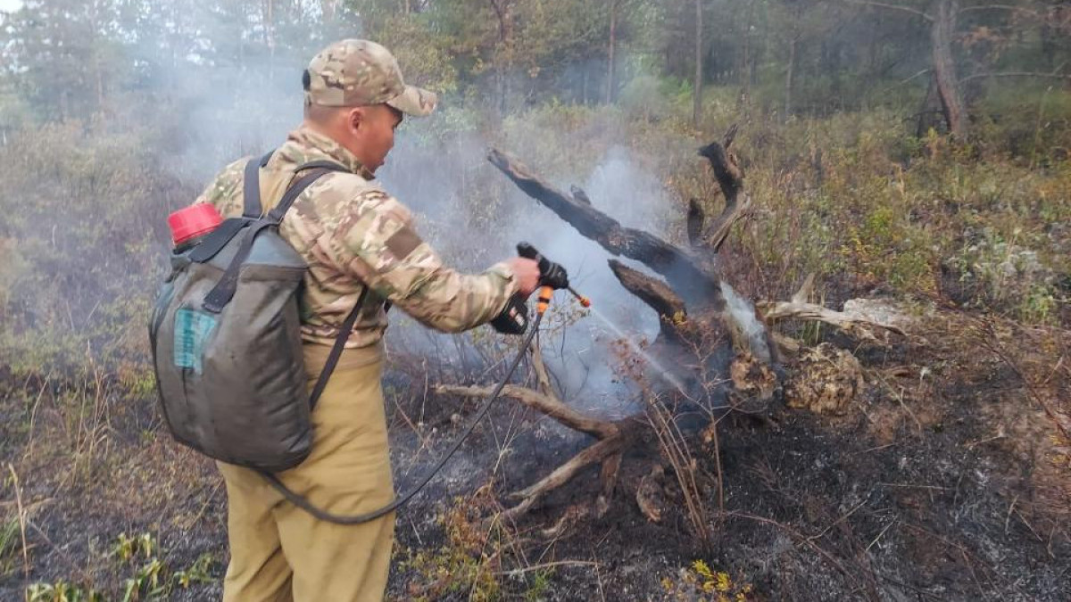 В ВКО лесники и пожарные ликвидировали загорание в лесной зоне