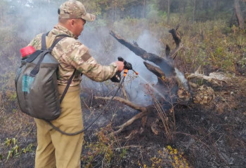 200 гектаров сухой травы горит в Жамбылской области