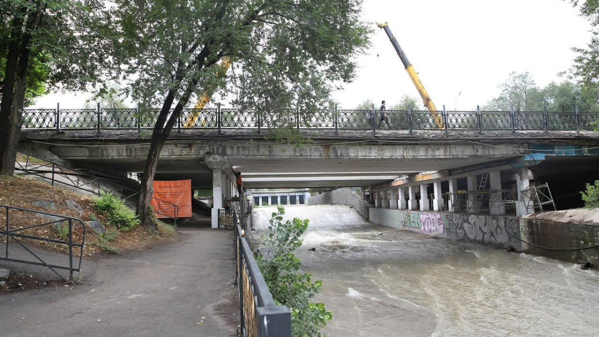 Более 100 деревьев попали под вырубку в Алматы в связи с реконструкцией моста через реку Есентай