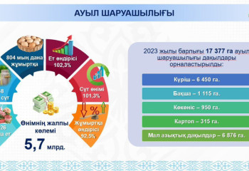 Қызылорда облысындағы бір ауданның өнімі 7 елге экспортталады